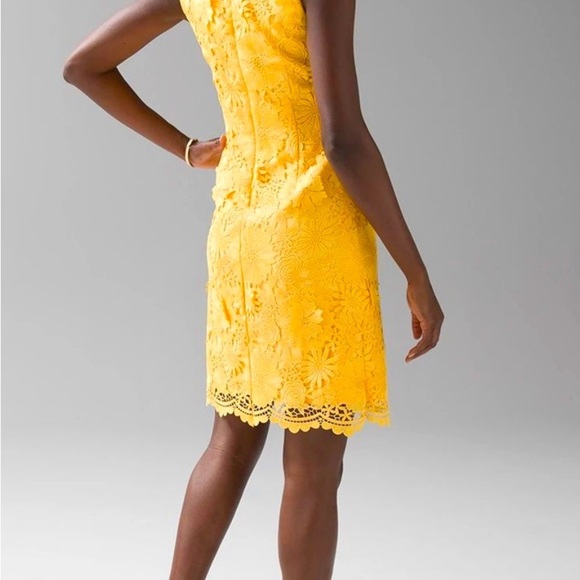 NWT WHBM Lace shift dress 6 - Dandelion. Spring, EasterParade, Lace, Boho, HAPPY - Picture 9 of 10